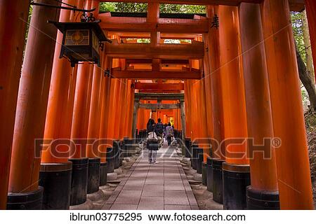 "Torii or gates leading to the inner shrine, Fushimi Inari-taisha shrine, Kyoto, Japan, Asia" View Large Photo Image Stock Photography - "Torii or gates leading to the inner shrine, Fushimi Inari-taisha shrine, Kyoto, Japan, Asia". Fotosearch