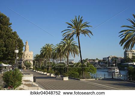"Torre del Oro on the waterfront of the Rio Guadalquivir, Seville, Andalucia, Spain, Europe" View Large Photo Image Stock Image - "Torre del Oro on the waterfront of the Rio Guadalquivir, Seville, Andalucia, Spain, Europe". Fotosearch