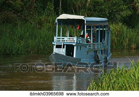 "Tourist boat in Tanjung Puting National Park, Central Kalimantan, Borneo, Indonesia, Asia" View Large Photo Image Stock Photo - "Tourist boat in Tanjung Puting National Park, Central Kalimantan, Borneo, Indonesia, Asia". Fotosearch