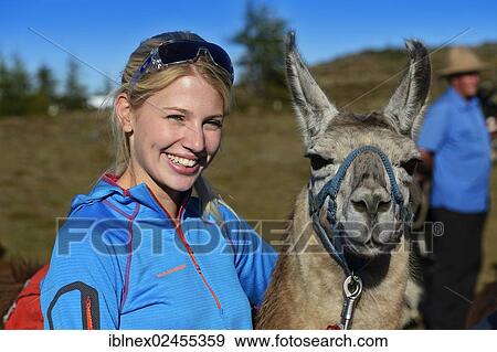 "Tourist during a llama tour to the summit of Boeses Weibele Mountain in the Defregger Group, Carnic Dolomites, Upper Lienz, Puster Valley, East Tyrol, Austria, Europe" View Large Photo Image Stock Photo - "Tourist during a llama tour to the summit of Boeses Weibele Mountain in the Defregger Group, Carnic Dolomites, Upper Lienz, Puster Valley, East Tyrol, Austria, Europe". Fotosearch