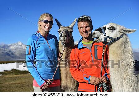 "Tourist during a llama tour to the summit of Boeses Weibele Mountain in the Defregger Group, Carnic Dolomites, Upper Lienz, Puster Valley, East Tyrol, Austria, Europe" View Large Photo Image Stock Photo - "Tourist during a llama tour to the summit of Boeses Weibele Mountain in the Defregger Group, Carnic Dolomites, Upper Lienz, Puster Valley, East Tyrol, Austria, Europe". Fotosearch