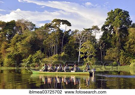 "Tourist group travelling by boat through the rainforest, Mamiraua-Nationalpark, Manaus, Amazonas State, Brazil, South America" View Large Photo Image Stock Image - "Tourist group travelling by boat through the rainforest, Mamiraua-Nationalpark, Manaus, Amazonas State, Brazil, South America". Fotosearch