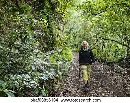"Tourist hiking in the forest of Los Tilos, La Palma, Canary Islands, Spain, Europe" View Large Photo Image Picture - "Tourist hiking in the forest of Los Tilos, La Palma, Canary Islands, Spain, Europe". Fotosearch