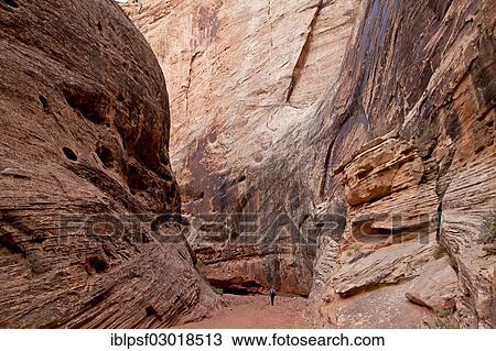 "Tourist on the trail through Grand Wash Gorge, Capitol Reef National Park, Capitol Reef National Park, Utah, United States, North America" View Large Photo Image Stock Image - "Tourist on the trail through Grand Wash Gorge, Capitol Reef National Park, Capitol Reef National Park, Utah, United States, North America". Fotosearch