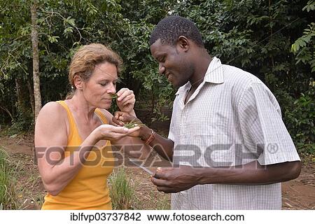 Stock Image - "Tourist smelling herbs that are given to her by a local man, spice tour, Kizimbani Spice Farm, Kizimbani, Zanzibar, Tanzania, Africa". Fotosearch