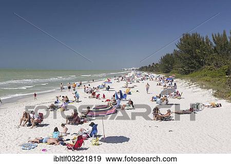 "Tourists at the beach of Naples, Naples, Collier County, Florida, United States, North America" View Large Photo Image Stock Photo - "Tourists at the beach of Naples, Naples, Collier County, Florida, United States, North America". Fotosearch
