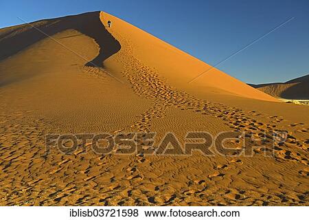"Tourists climbing Dune 45 in the evening light, Sossusvlei, Namib Desert, Namib Naukluft Park, Namibia, Africa" View Large Photo Image Stock Photo - "Tourists climbing Dune 45 in the evening light, Sossusvlei, Namib Desert, Namib Naukluft Park, Namibia, Africa". Fotosearch