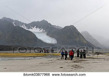 "Tourists hiking at Magdalene Fjord, Magdalene Fjord, Spitsbergen Island, Svalbard Archipelago, Svalbard and Jan Mayen, Norway, Europe" View Large Photo Image Stock Photograph - "Tourists hiking at Magdalene Fjord, Magdalene Fjord, Spitsbergen Island, Svalbard Archipelago, Svalbard and Jan Mayen, Norway, Europe". Fotosearch