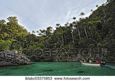 "Tourists in a dinghy, Pacific Ocean, Raja Ampat, West Papua, Indonesia, Asia" View Large Photo Image Stock Image - "Tourists in a dinghy, Pacific Ocean, Raja Ampat, West Papua, Indonesia, Asia". Fotosearch