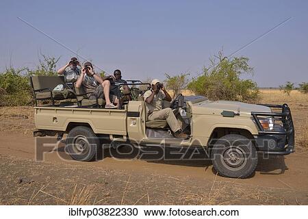 "Tourists in a safari vehicle, Nsefu Sector, South Luangwa National Park, Zambia, Africa" View Large Photo Image Stock Image - "Tourists in a safari vehicle, Nsefu Sector, South Luangwa National Park, Zambia, Africa". Fotosearch