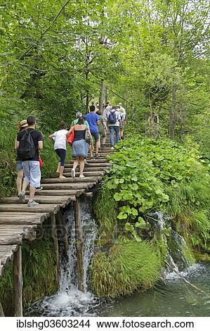 "Tourists on a boardwalk, Plitvice Lakes National Park, Croatia, Europe" View Large Photo Image Picture - "Tourists on a boardwalk, Plitvice Lakes National Park, Croatia, Europe". Fotosearch