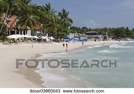 "Tourists on the beach, Chaweng Beach, Ko Samui, Thailand, Asia" View Large Photo Image Stock Image - "Tourists on the beach, Chaweng Beach, Ko Samui, Thailand, Asia". Fotosearch