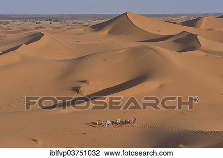 "Tourists riding camels in the dunes, Sahara, Meknes-Tafilalet region, Morocco, Africa" View Large Photo Image Stock Image - "Tourists riding camels in the dunes, Sahara, Meknes-Tafilalet region, Morocco, Africa". Fotosearch