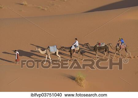 "Tourists riding camels in the dunes, Sahara, Meknes-Tafilalet region, Morocco, Africa" View Large Photo Image Stock Image - "Tourists riding camels in the dunes, Sahara, Meknes-Tafilalet region, Morocco, Africa". Fotosearch