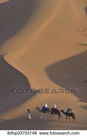Stock Photo - "Tourists riding camels in the dunes, Sahara, Merzouga, Meknes-Tafilalet region, Morocco, Africa". Fotosearch