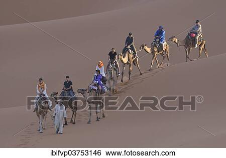 "Tourists riding camels in the dunes, Sahara, Merzouga, Meknes-Tafilalet region, Morocco, Africa" View Large Photo Image Stock Photograph - "Tourists riding camels in the dunes, Sahara, Merzouga, Meknes-Tafilalet region, Morocco, Africa". Fotosearch