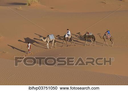 "Tourists riding camels, Sahara, Meknes-Tafilalet region, Morocco, Africa" View Large Photo Image Stock Image - "Tourists riding camels, Sahara, Meknes-Tafilalet region, Morocco, Africa". Fotosearch