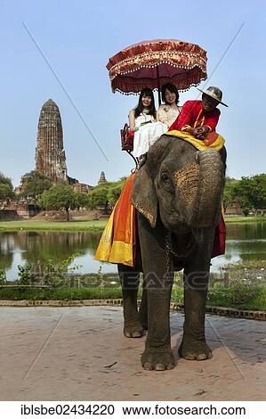 "Tourists riding on an elephant, Wat Phra Ram, Prang, Ayutthaya, Thailand, Asia" View Large Photo Image Stock Image - "Tourists riding on an elephant, Wat Phra Ram, Prang, Ayutthaya, Thailand, Asia". Fotosearch