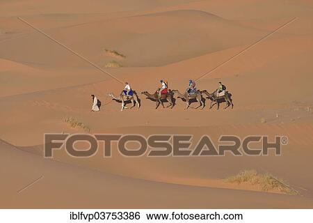Stock Photograph - "Tourists riding on camels through the dunes, Sahara, Merzouga, Meknes-Tafilalet region, Morocco, Africa". Fotosearch
