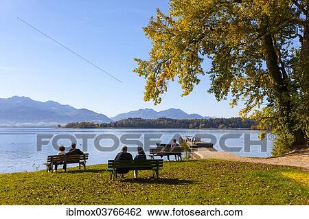"Tourists sitting on benches at Lake Chiemsee, Island Frauenchiemsee or Fraueninsel, Chiemsee, Upper Bavaria, Bavaria, Germany, Europe" View Large Photo Image Stock Image - "Tourists sitting on benches at Lake Chiemsee, Island Frauenchiemsee or Fraueninsel, Chiemsee, Upper Bavaria, Bavaria, Germany, Europe". Fotosearch
