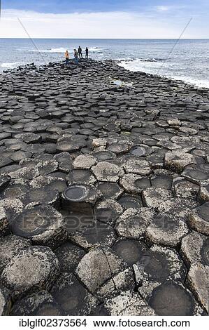 "Tourists standing on headland on basaltic rocks, Giant's Causeway, Coleraine, Northern Ireland, United Kingdom, Europe" View Large Photo Image Picture - "Tourists standing on headland on basaltic rocks, Giant's Causeway, Coleraine, Northern Ireland, United Kingdom, Europe". Fotosearch