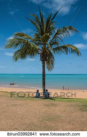 "Tourists underneath a palm, town beach, Broome, Western Australia" View Large Photo Image Stock Image - "Tourists underneath a palm, town beach, Broome, Western Australia". Fotosearch