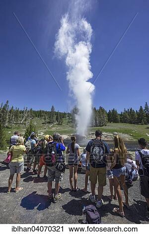 "Tourists watching the eruption of Riverside Geyser, Yellowstone National Park, Wyoming, United States, North America" View Large Photo Image Stock Image - "Tourists watching the eruption of Riverside Geyser, Yellowstone National Park, Wyoming, United States, North America". Fotosearch