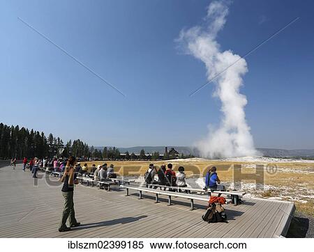 "Tourists watching the eruption of the Old Faithful geyser, Yellowstone National Park, Wyoming, USA" View Large Photo Image Stock Photography - "Tourists watching the eruption of the Old Faithful geyser, Yellowstone National Park, Wyoming, USA". Fotosearch