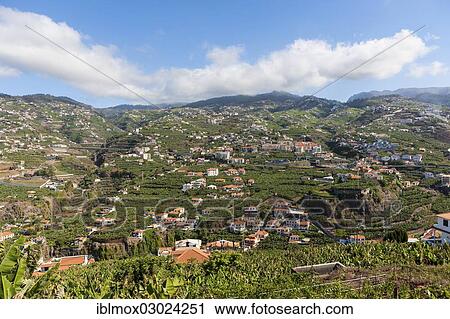 Stock Image - "Town of Camara de Lobos, Funchal, Porto de Camara de Lobos, Ilha da Madeira, Portugal, Europe". Fotosearch