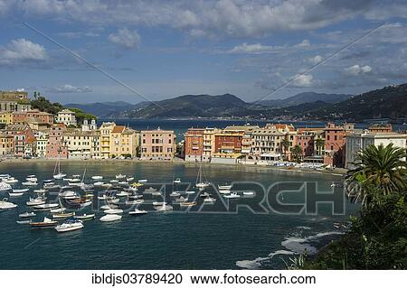 "Townscape, harbor, Baia di Silenzio, Sestri Levante, Riviera di Levante, Genoa, Liguria, Italy, Europe" View Large Photo Image Stock Image - "Townscape, harbor, Baia di Silenzio, Sestri Levante, Riviera di Levante, Genoa, Liguria, Italy, Europe". Fotosearch