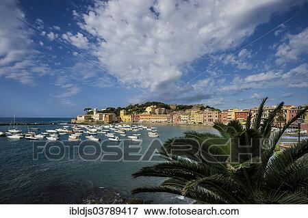 Stock Photo - "Townscape, harbor, Baia di Silenzio, Sestri Levante, Riviera di Levante, Genoa, Liguria, Italy, Europe". Fotosearch