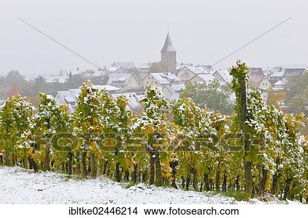 "Townscape of Steinreinach in autumn during snowfall, Korb-Steinreinach, wine-growing region of Remstal, Baden-Wuerttemberg, Germany, Europe" View Large Photo Image Picture - "Townscape of Steinreinach in autumn during snowfall, Korb-Steinreinach, wine-growing region of Remstal, Baden-Wuerttemberg, Germany, Europe". Fotosearch
