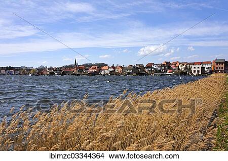 Picture - "Townscape of the island town of Malchow and Malchow Lake, Reeds (Phragmites australis) at the front, Malchow, Mecklenburg-Western Pomerania, Germany, Europe". Fotosearch