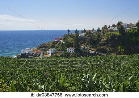 "Townscape, San Andres, La Palma, Canary Islands, Spain, Europe" View Large Photo Image Stock Photograph - "Townscape, San Andres, La Palma, Canary Islands, Spain, Europe". Fotosearch