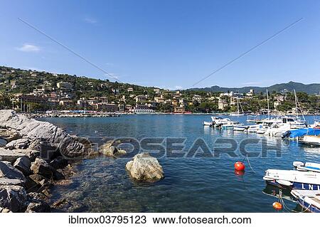 "Townscape, Santa Margherita Ligure on the Gulf of Genoa, Italian Riviera, Liguria, Italy, Europe" View Large Photo Image Stock Image - "Townscape, Santa Margherita Ligure on the Gulf of Genoa, Italian Riviera, Liguria, Italy, Europe". Fotosearch