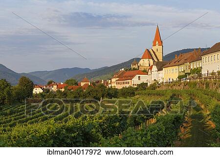 "Townscape, Weissenkirchen in der Wachau, Wachau, Waldviertel, Lower Austria, Austria, Europe" View Large Photo Image Stock Image - "Townscape, Weissenkirchen in der Wachau, Wachau, Waldviertel, Lower Austria, Austria, Europe". Fotosearch