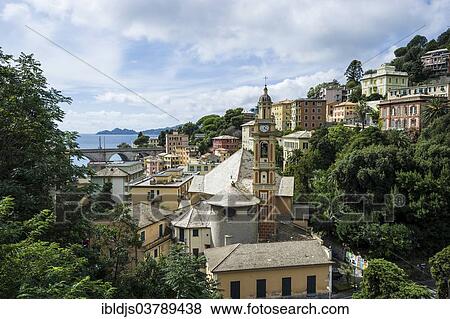 Stock Photo - "Townscape Zoagli, Riviera di Levante, Genoa Province, Liguria, Italy, Europe". Fotosearch