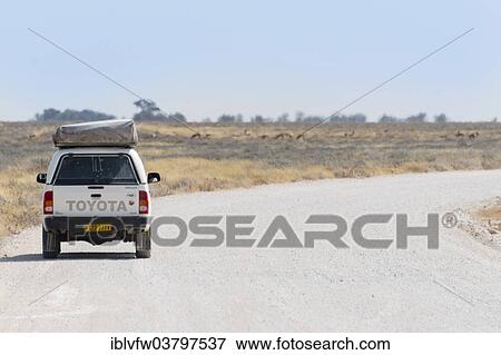 "Toyota parking at the roadside, Etosha National Park, Namibia, Africa" View Large Photo Image Stock Photo - "Toyota parking at the roadside, Etosha National Park, Namibia, Africa". Fotosearch