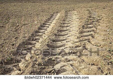 Picture - "Traces of a tractor on a field, Dortmund, Ruhr area, North Rhine-Westphalia, Germany, Europe, PublicGround, Europe". Fotosearch