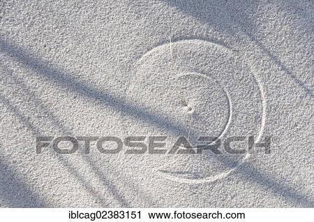 Stock Image - Track drawn by a blade of grass in a sand dune. Fotosearch