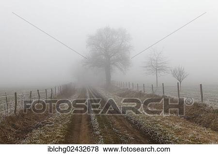 "Track through a field in winter, Puy de Dome, Auvergne, France, Europe" View Large Photo Image Stock Photo - "Track through a field in winter, Puy de Dome, Auvergne, France, Europe". Fotosearch