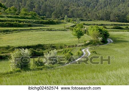"Track through landscape of the Garrotxa Volcanic Zone Natural Park, Catalonia, Spain, Europe" View Large Photo Image Picture - "Track through landscape of the Garrotxa Volcanic Zone Natural Park, Catalonia, Spain, Europe". Fotosearch