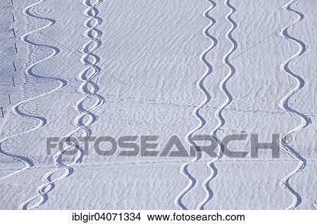 "Tracks in the snow, Black Forest, Germany, Europe" View Large Photo Image Picture - "Tracks in the snow, Black Forest, Germany, Europe". Fotosearch