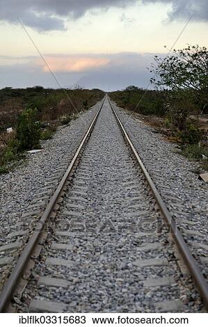 "Tracks leading to the horizon, Ixtepec, Oaxaca, Mexico, North America" View Large Photo Image Stock Image - "Tracks leading to the horizon, Ixtepec, Oaxaca, Mexico, North America". Fotosearch
