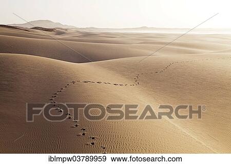 "Tracks of a single hiker in the sand of the dunes on Praia de Chaves Beach, west coast of the island of Boa Vista, Cape Verde, Republic of Cabo Verde, Africa" View Large Photo Image Stock Photo - "Tracks of a single hiker in the sand of the dunes on Praia de Chaves Beach, west coast of the island of Boa Vista, Cape Verde, Republic of Cabo Verde, Africa". Fotosearch