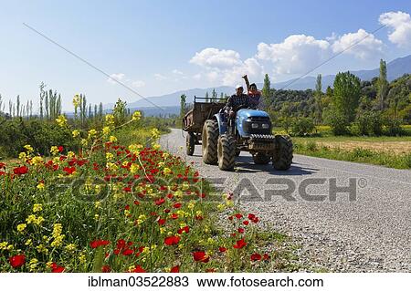 "Tractor driving on a country road, Yenice, Aydin province, Aegean region, Turkey, Asia" View Large Photo Image Stock Image - "Tractor driving on a country road, Yenice, Aydin province, Aegean region, Turkey, Asia". Fotosearch