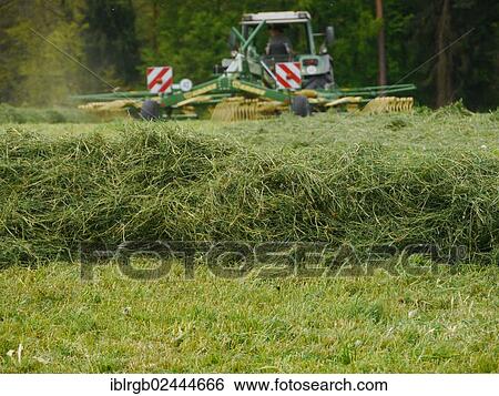 Stock Photograph - "Tractor harvesting hay, Allgaeu, Bavaria, Germany, Europe". Fotosearch