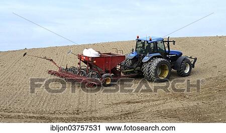 "Tractor planting wheat seeds in autumn, Ystad, Scania, Sweden, Europe" View Large Photo Image Stock Image - "Tractor planting wheat seeds in autumn, Ystad, Scania, Sweden, Europe". Fotosearch