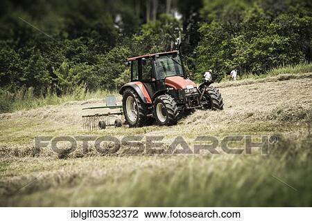 "Tractor turning hay, Altmuhltal, Essing, Niederbayern, Bayern, Germany, Europe" View Large Photo Image Stock Image - "Tractor turning hay, Altmuhltal, Essing, Niederbayern, Bayern, Germany, Europe". Fotosearch