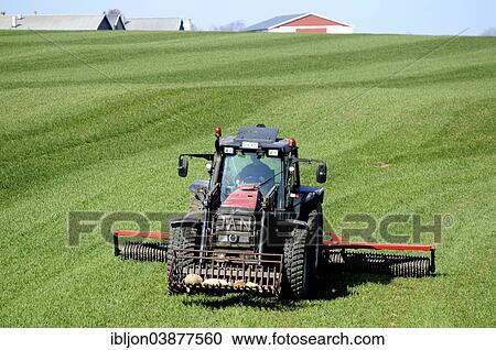 "Tractor with cambridge roller works on green fields at spring farming. Th farm at the horizon, Ruuthsbo, Scania, Sweden, Europe" View Large Photo Image Stock Image - "Tractor with cambridge roller works on green fields at spring farming. Th farm at the horizon, Ruuthsbo, Scania, Sweden, Europe". Fotosearch